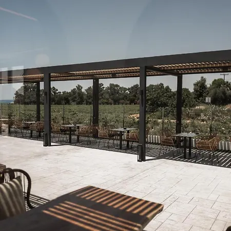 Salt Boutique Hotel apartamentowy